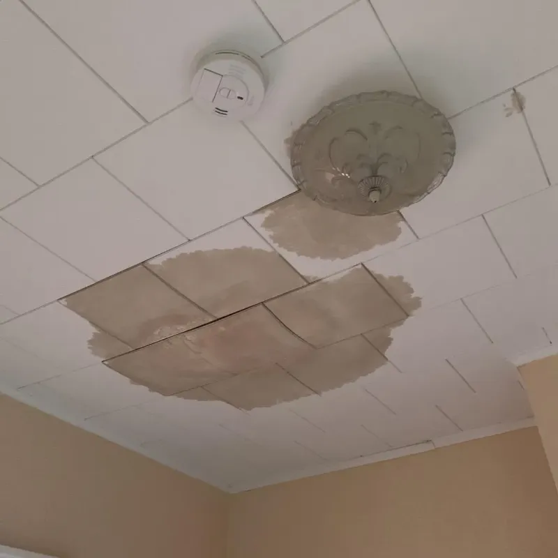 Ceiling Water Damage Repair in West Jefferson, OH