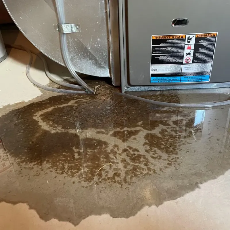 Pipe Burst and Leak Restoration in West Jefferson, OH