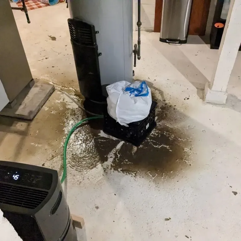 Sewage Backup Cleanup Service in West Jefferson, OH